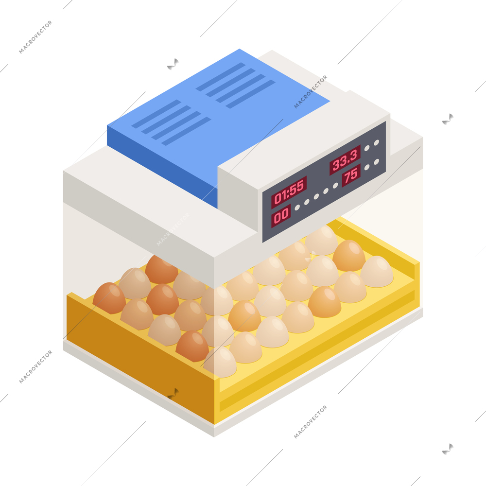 Chicken poultry production farm isometric composition with isolated image on blank background vector illustration