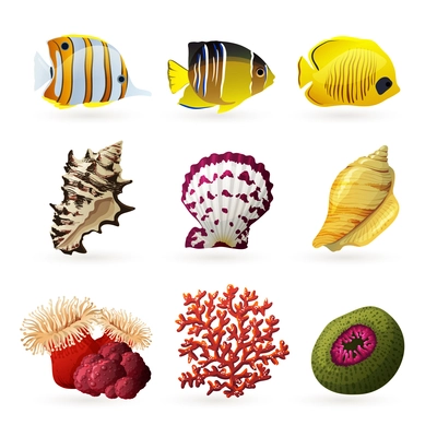 Sea fauna decorative colored icons set with fishes shells and corals isolated  vector illustration