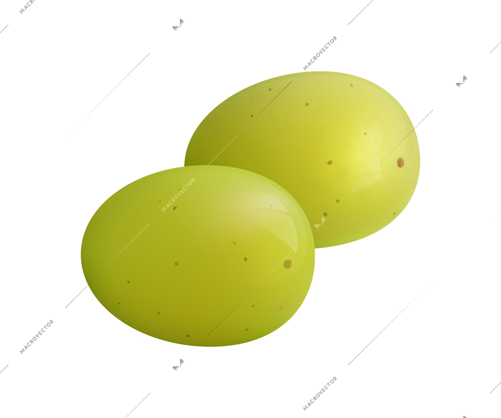 Fruits realistic composition with isolated images of solid grape berries on blank background vector illustration