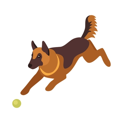 Isometric one day dog man owner composition with isolated image of puppy with ball vector illustration