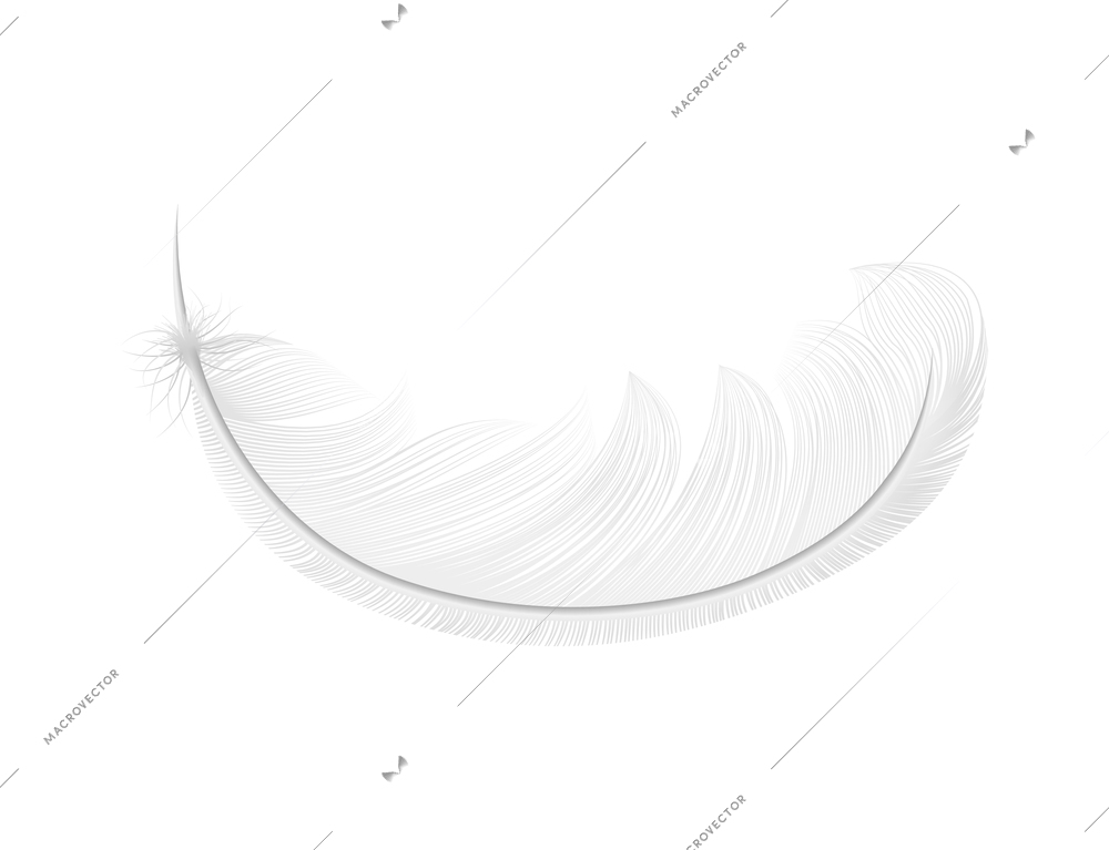 White feathers realistic composition with isolated image of pure feather on blank background vector illustration