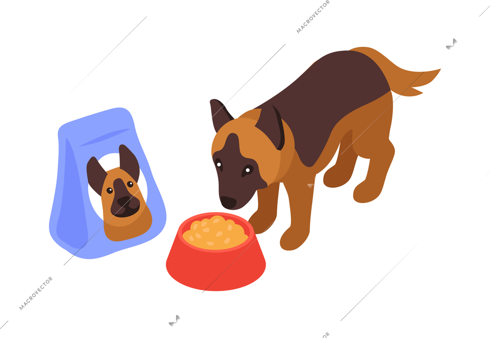 Isometric one day dog man owner composition with isolated image of puppy with food package and dish vector illustration