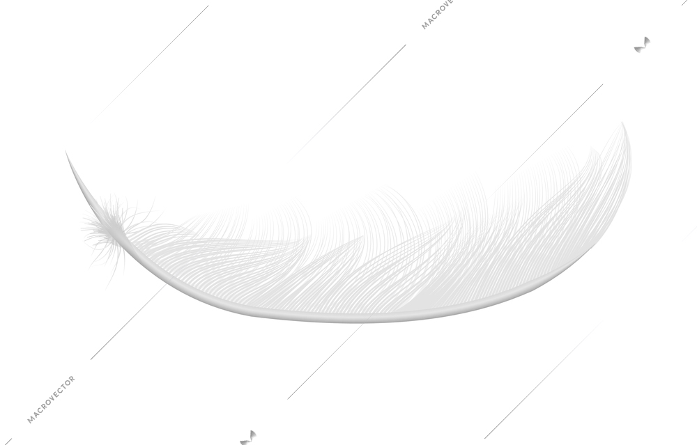 White feathers realistic composition with isolated image of pure feather on blank background vector illustration