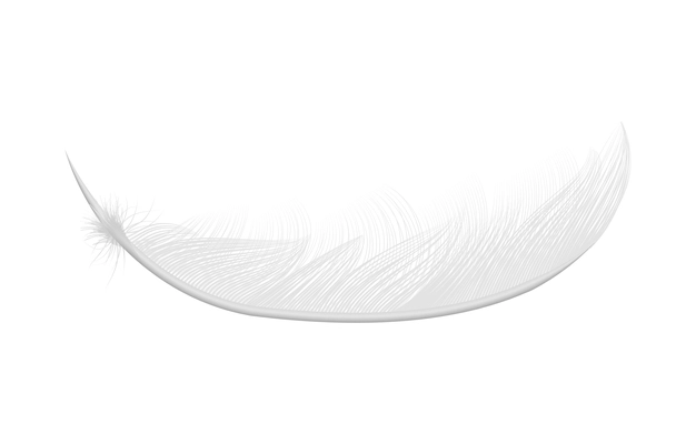 White feathers realistic composition with isolated image of pure feather on blank background vector illustration