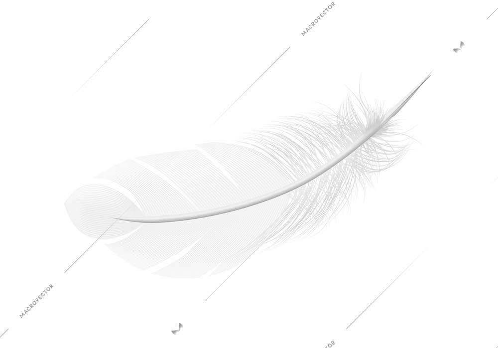 White feathers realistic composition with isolated image of pure feather on blank background vector illustration