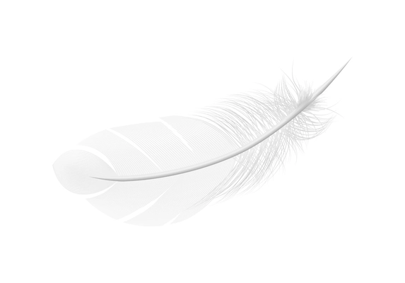 White feathers realistic composition with isolated image of pure feather on blank background vector illustration