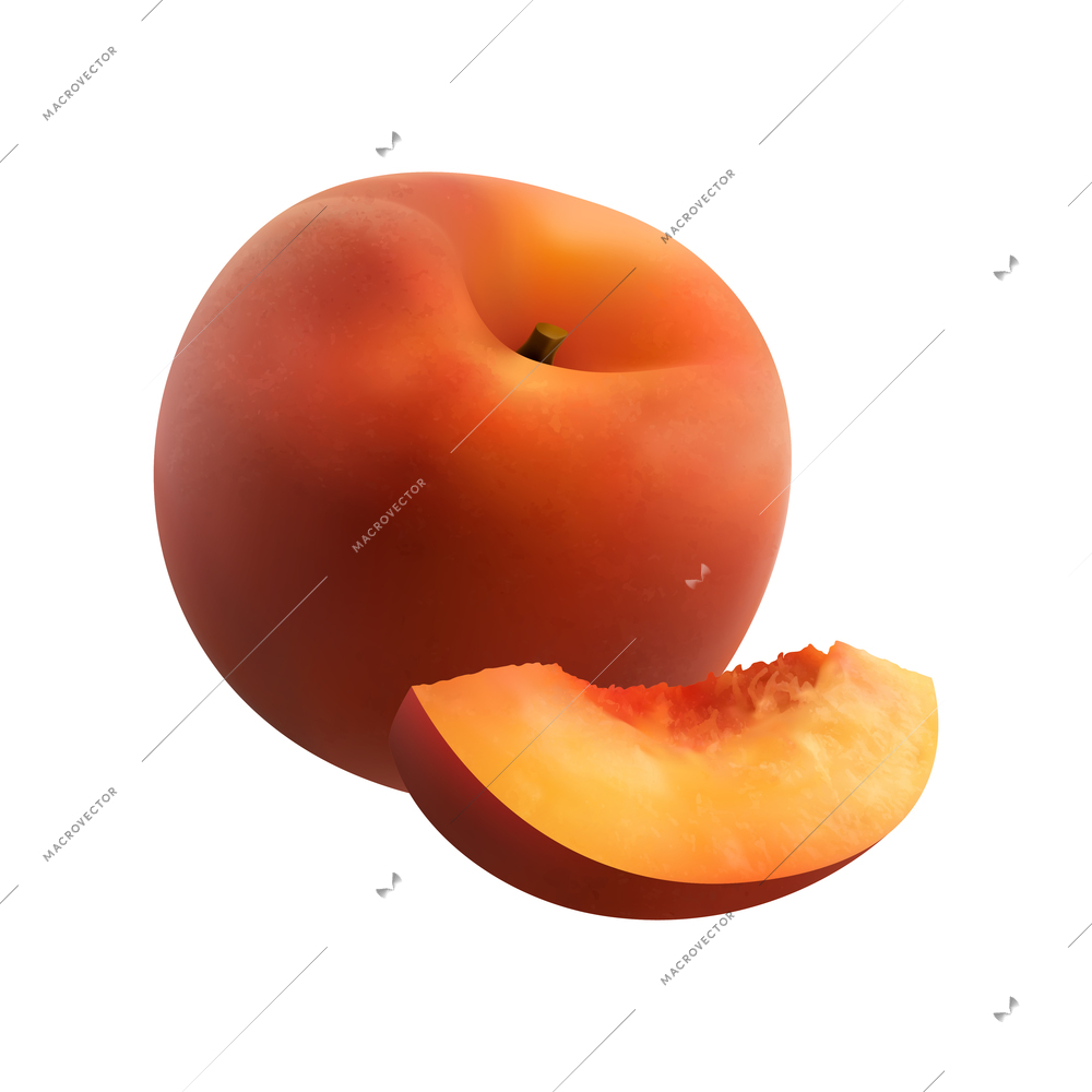 Fruits realistic composition with isolated images of solid ripe fruit with slice on blank background vector illustration