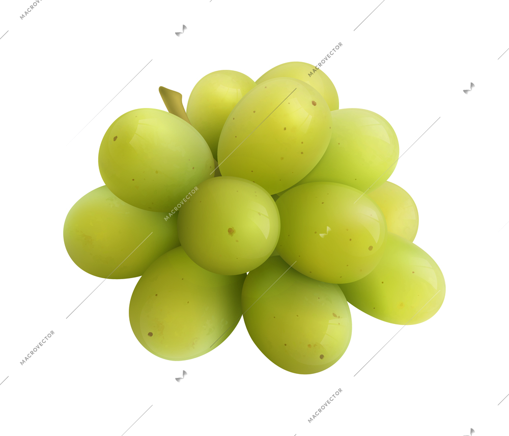 Fruits realistic composition with isolated images of solid grapes bunch on blank background vector illustration