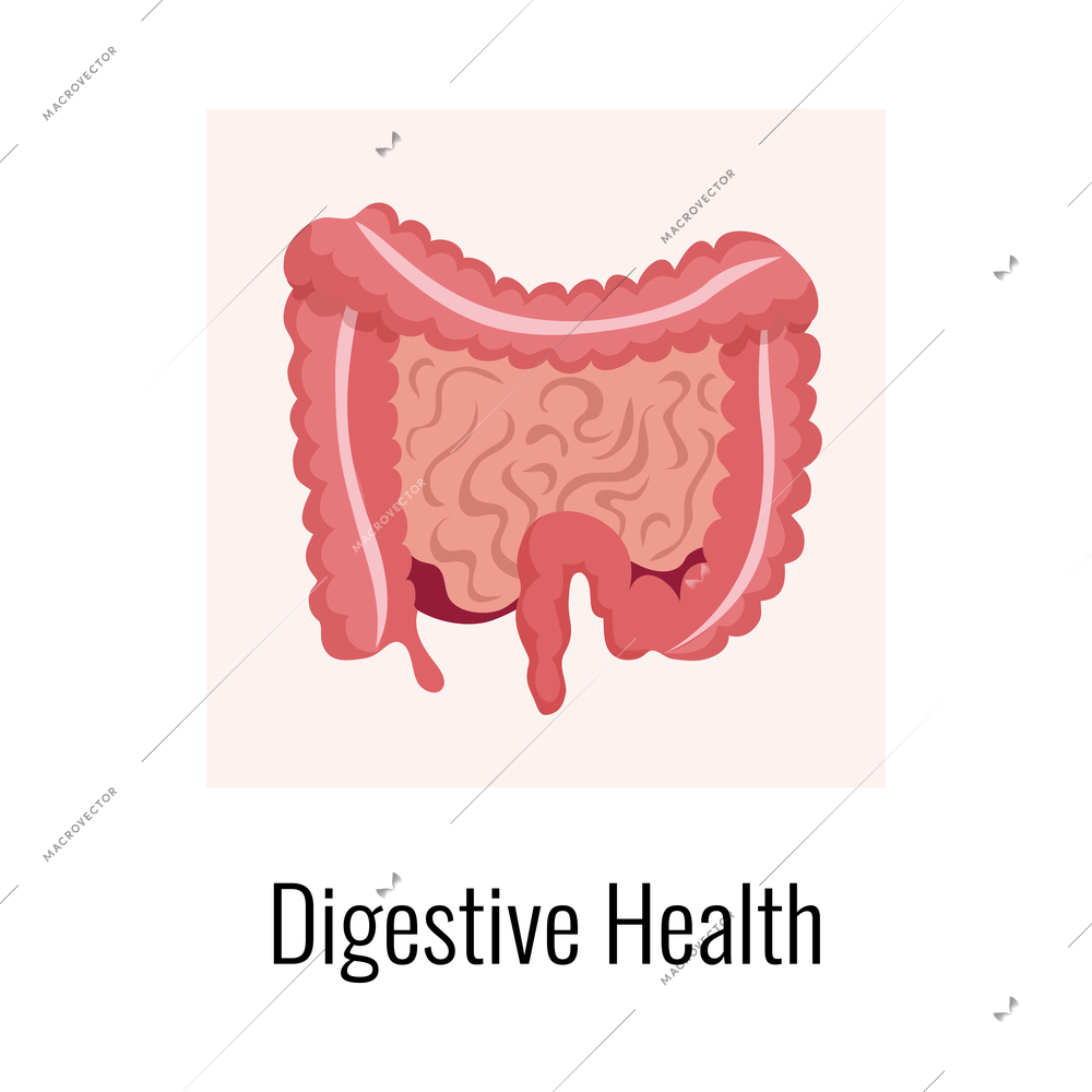 Probiotics benefits human body health composition with isolated image and editable text vector illustration