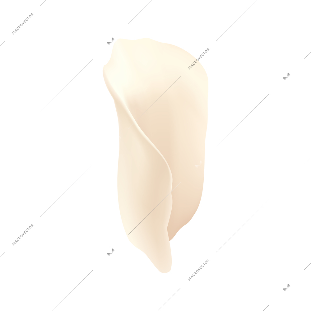 White rose flower petals composition with isolated image of decorative plant on blank background vector illustration