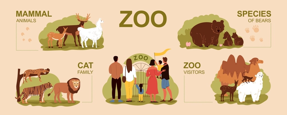 Zoo infographic set with cat family and visitors flat vector illustration