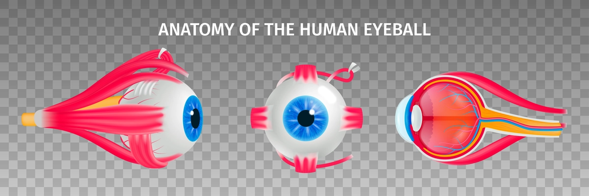 Human eye anatomy transparent set with vision diseases symbols isometric isolated vector illustration