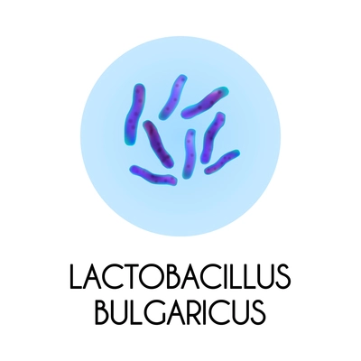 Realistic human internal organs intestinal microflora bacteria with lactobacillus bulgaricus image vector illustration