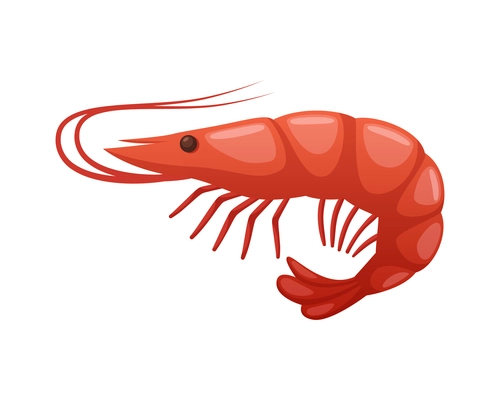 Color shrimp on white background cartoon vector illustration