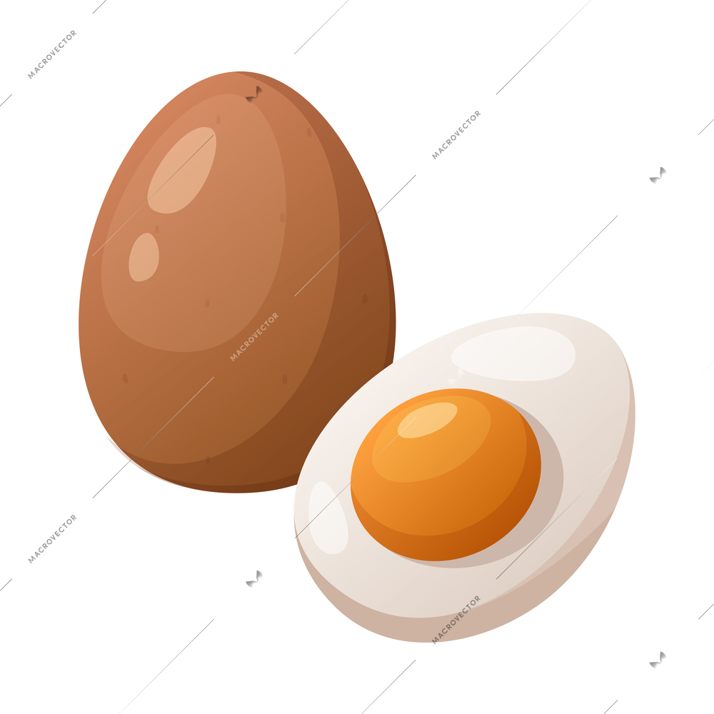 Whole and half boiled chicken egg on white background cartoon vector illustration