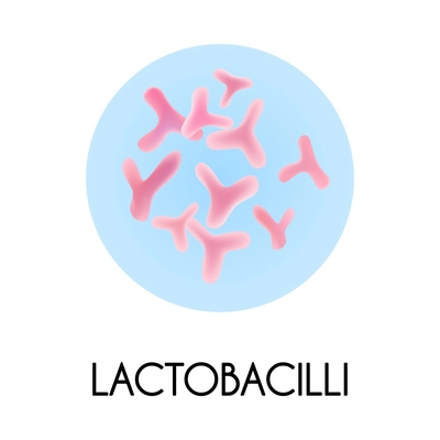 Realistic human internal organs intestinal microflora bacteria with lactobacilli image vector illustration
