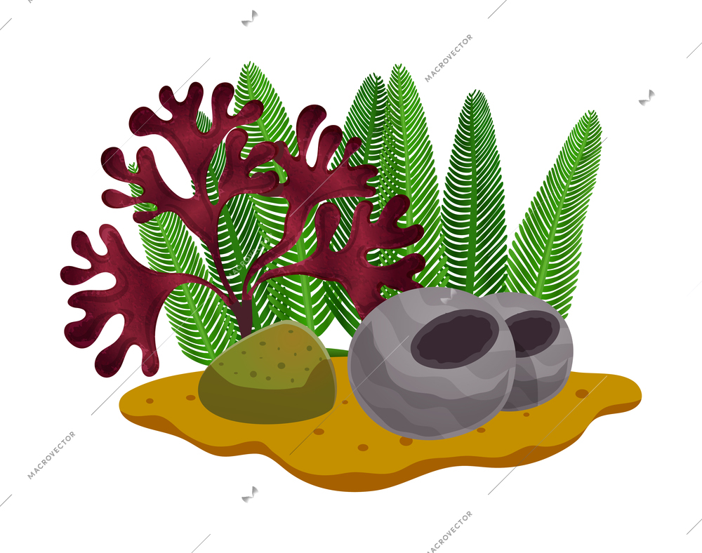 Colorful seaweeds and stones on sea bottom or in aquarium flat vector illustration