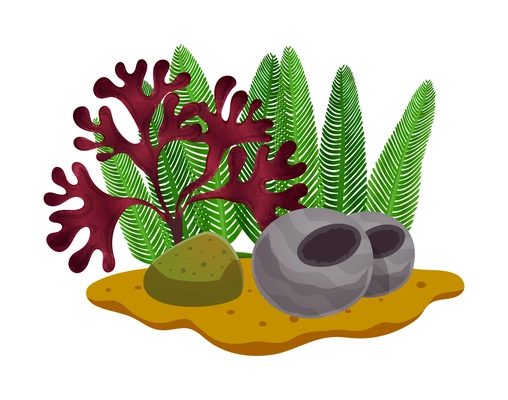 Colorful seaweeds and stones on sea bottom or in aquarium flat vector illustration