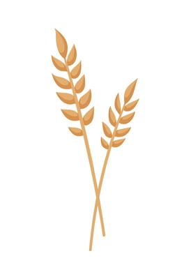 Two cartoon wheat ears on white background vector illustration