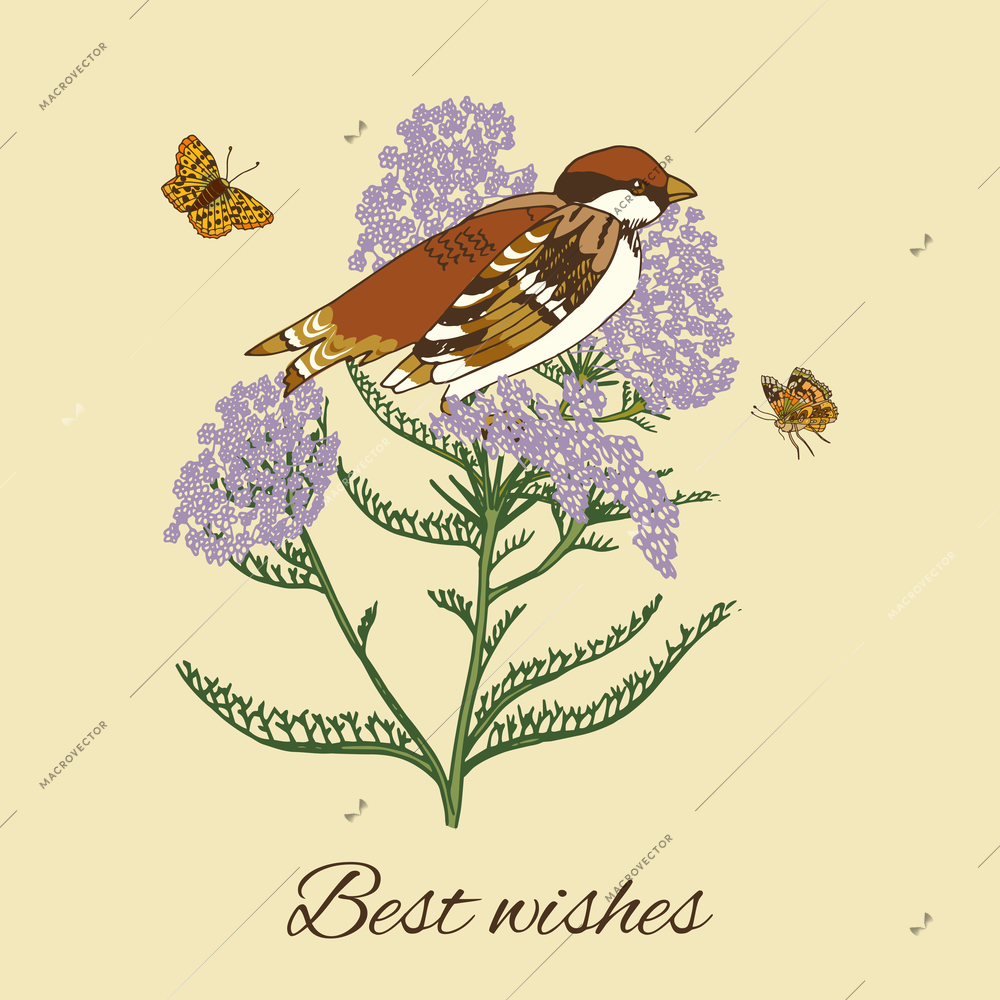 Vintage flowers postcard design with yarrow butterflies and sparrow bird vector illustration