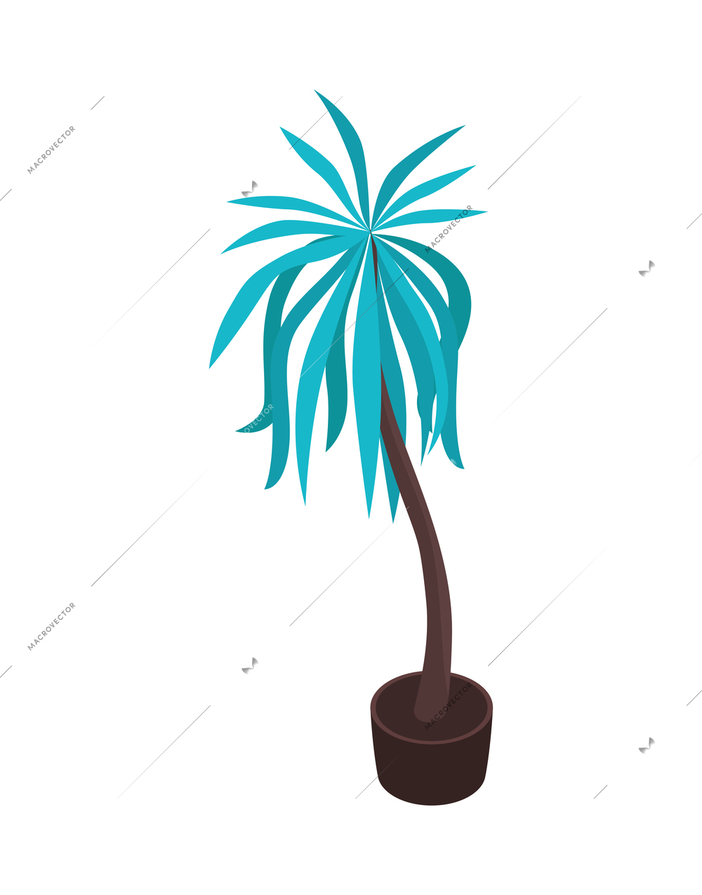 Green house palm plant in pot on white background isometric vector illustration