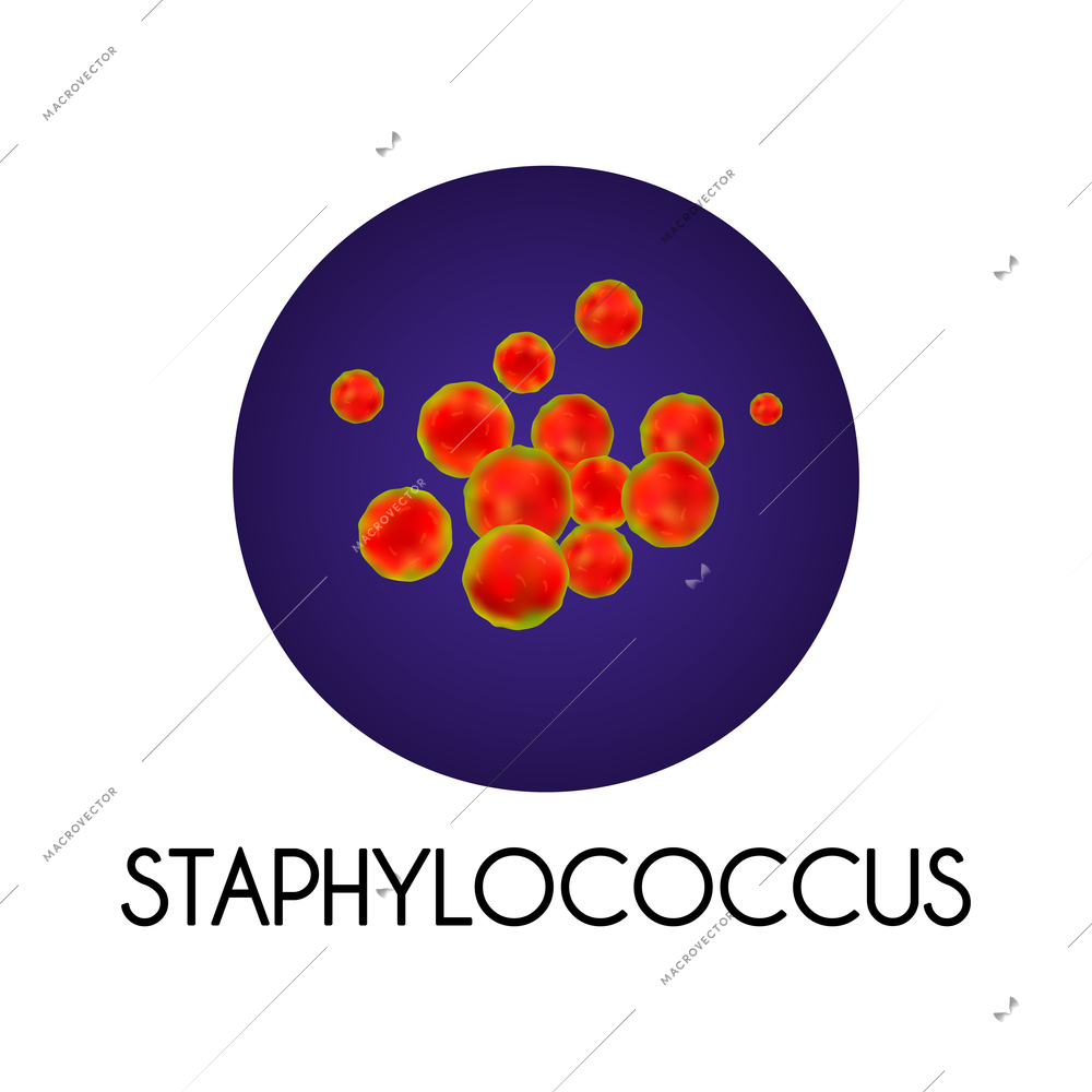 Realistic human internal organs intestinal microflora bacteria with staphylococcus image vector illustration