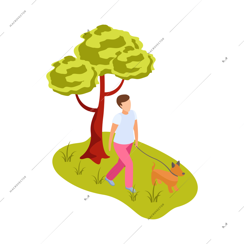 Man walking dog in city park with green tree and grass isometric vector illustration