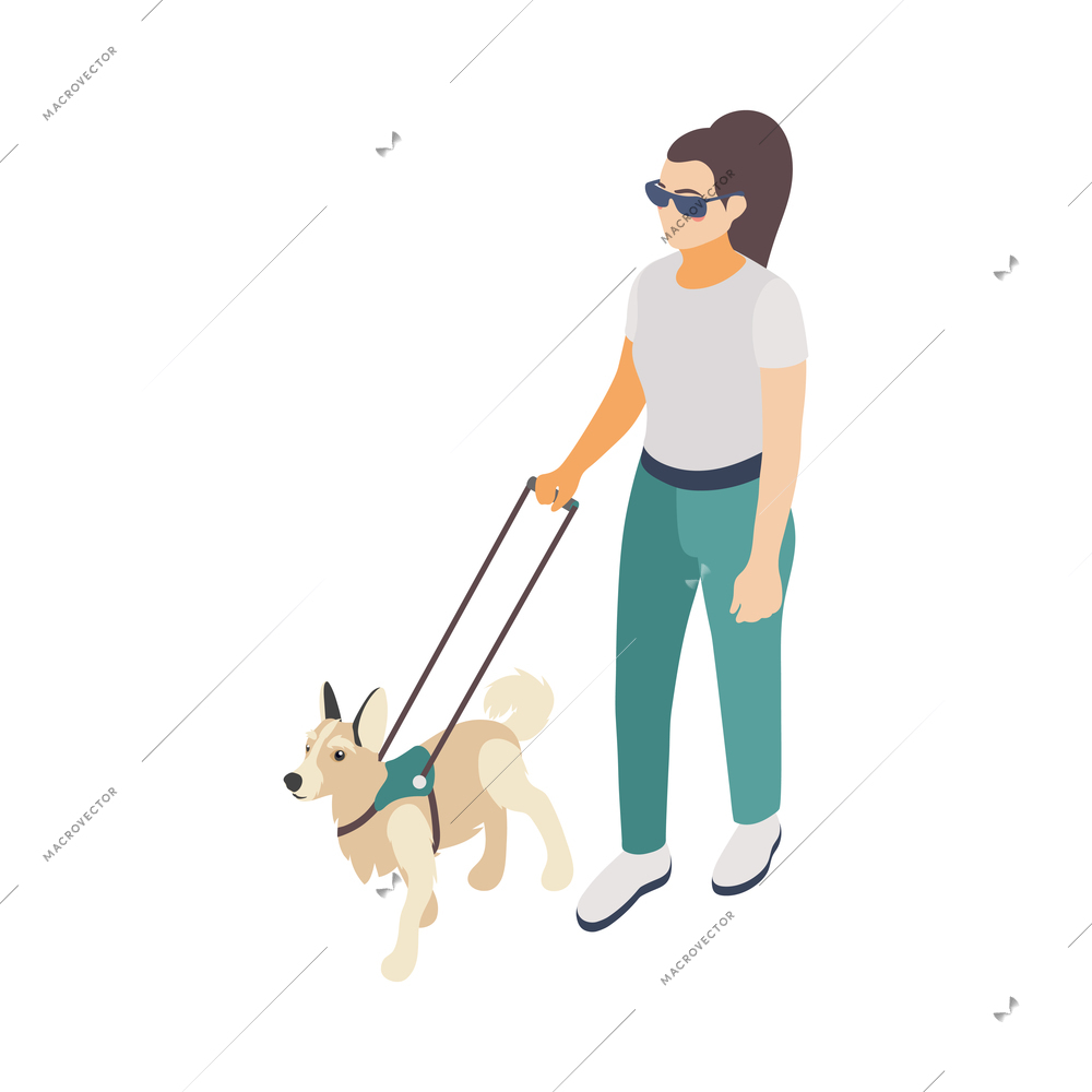 Isometric icon of disabled young woman walking with guide dog 3d vector illustration