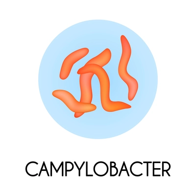 Realistic human internal organs intestinal microflora bacteria with campylobaster image vector illustration