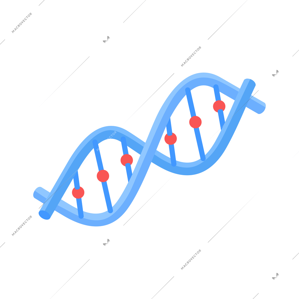 Isometric icon with colored dna strand on white background 3d vector illustration