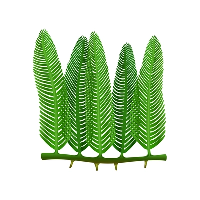 Caulerpa green seaweed leaves on white background flat vector illustration