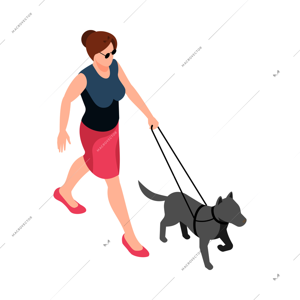 Blind woman walking with guide dog 3d isometric vector illustration