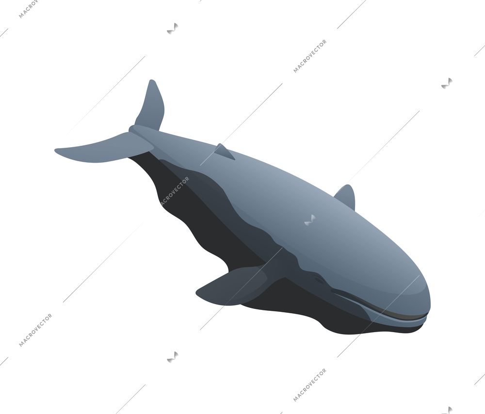 Ocean pollution icon with whale swimming in oil 3d isometric vector illustration
