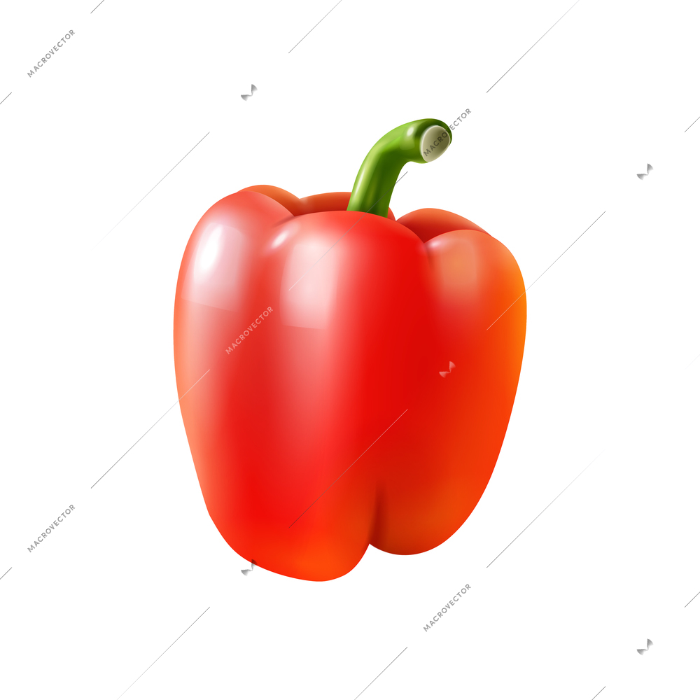 Realistic whole red bell pepper on blank background vector illustration