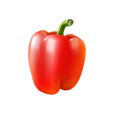 Realistic whole red bell pepper on blank background vector illustration