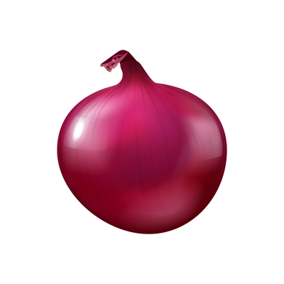 Realistic unpeeled red onion bulb on blank background vector illustration