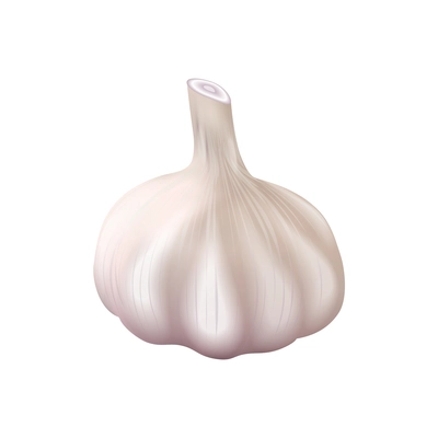 Realistic unpeeled garlic bulb on white background vector illustration