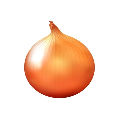 Unpeeled onion bulb on blank background realistic vector illustration