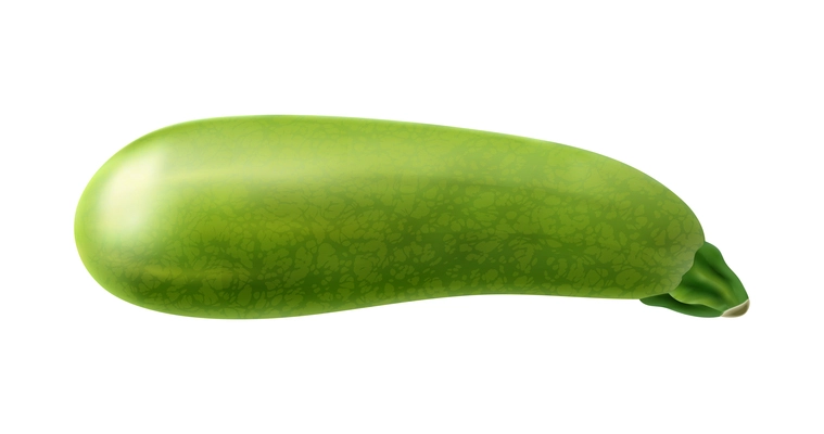 Realistic raw vegetable marrow on white background vector illustration