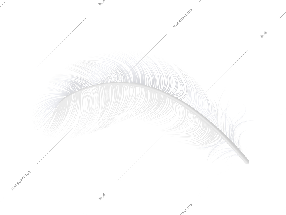 Realistic twirled white bird feather on blank background vector illustration