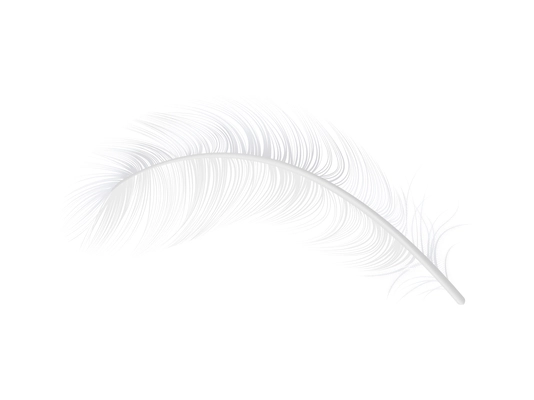 Realistic twirled white bird feather on blank background vector illustration