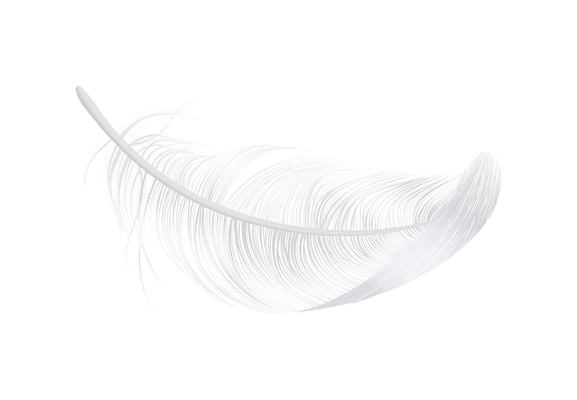 Falling white bird feather in realistic style on blank backrground vector illustration