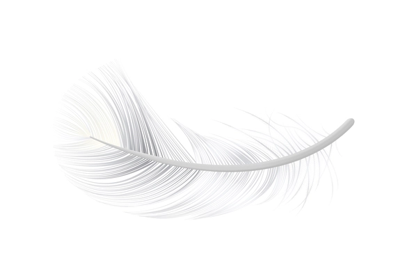 Realistic white fluffy bird feather icon vector illustration