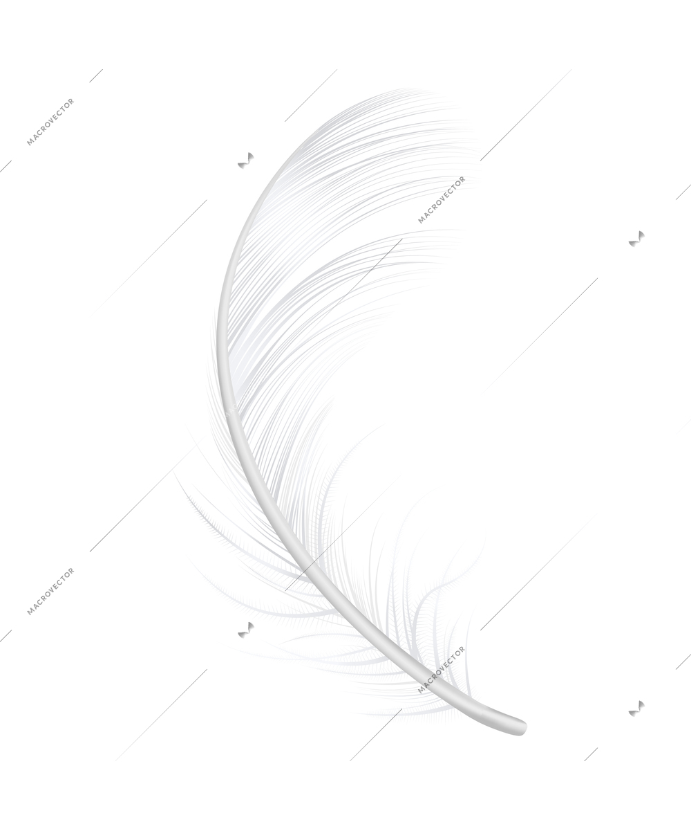 Realistic icon with twirled white bird feather vector illustration