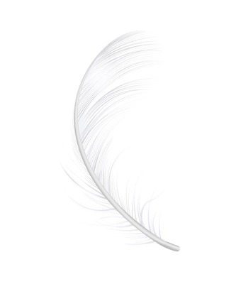 Realistic icon with twirled white bird feather vector illustration