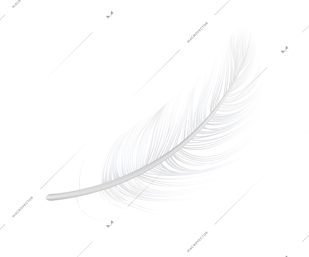 Realistic fluffly white bird feather vector illustration