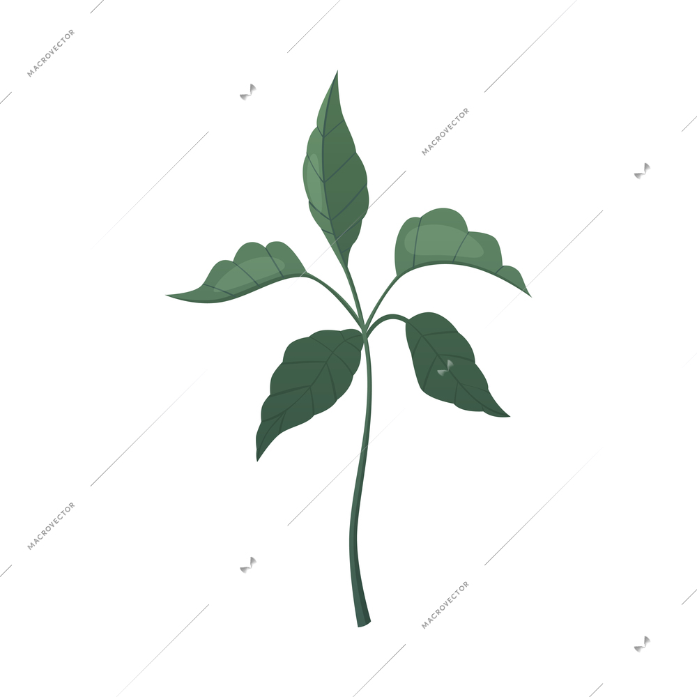 Small sprout with fresh green coffee leaves cartoon vector illustration