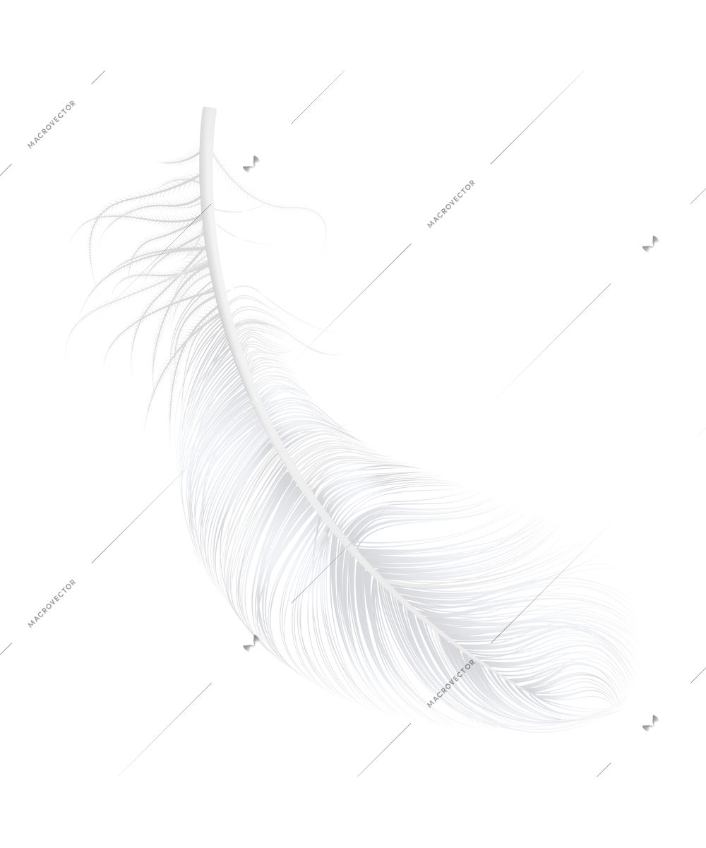 Realistic falling light white bird feather on blank background vector illustration