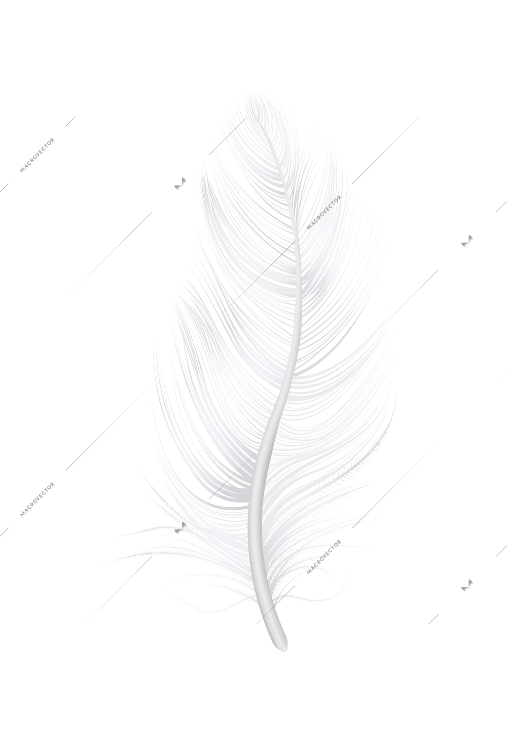 Realistic soft bird feather on blank background vector illustration