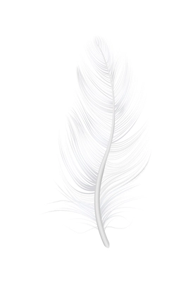 Realistic soft bird feather on blank background vector illustration